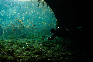 Cenote Exit