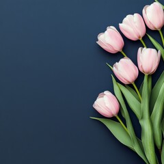 Fototapeta premium Beautiful pink tulips arranged with green leaves against a dark blue background