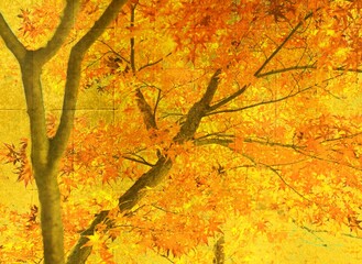 Vibrant autumn leaves on a tree branch.