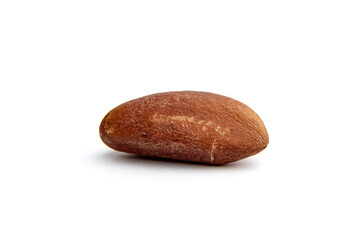 Close-up of a single Brazil nut showcasing its rich brown rough texture and natural shape, placed against a clean white background