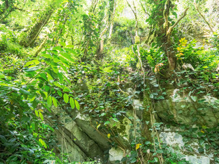 Sheer cliffs frame ancient ruins, reminiscent of past greatness, creating a mystical atmosphere and sense of time