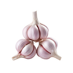 garlic isolated on white background