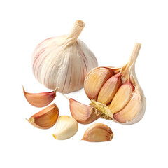 garlic clove on white background