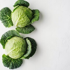 Fototapeta premium Fresh green cabbages arranged neatly on a white background for culinary use and presentation