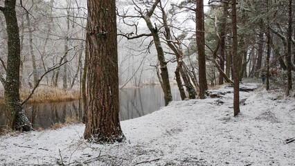 Dębki zimą. Rzeka Piaśnica.
