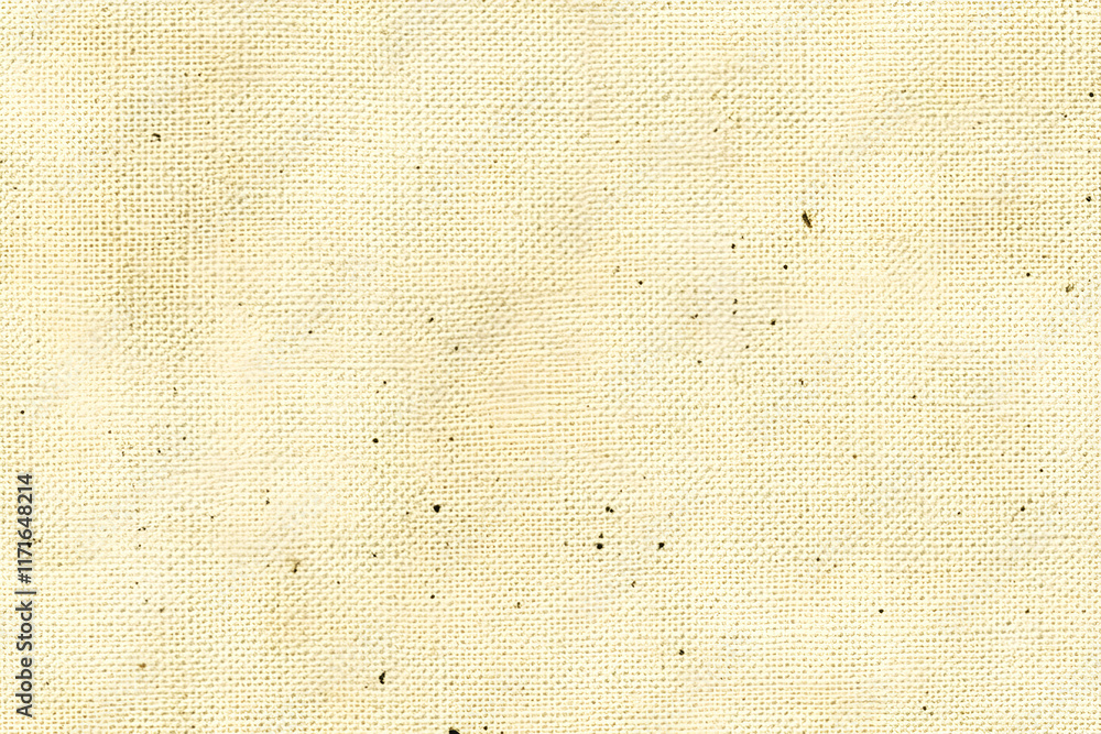 Poster high-resolution image of textured off-white canvas fabric, showing its weave and subtle imperfection