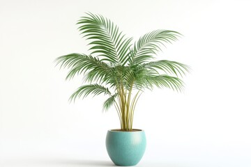 Obraz premium 3D Palm Tree Decor Isolated and White Background