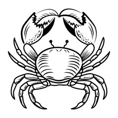 A sketchy style icon of crab