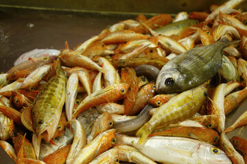 Small fresh fish in the covered market