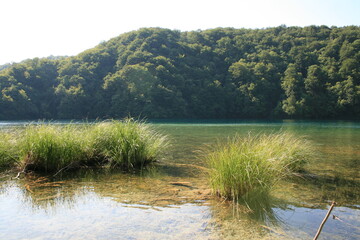 Landscape in Plitvicа Lakes National Park, Croatia