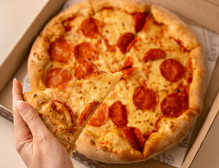 pizza with salami and cheese