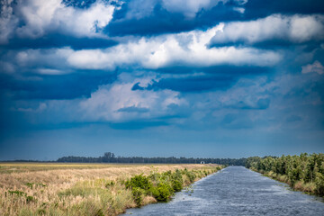 Fototapeta premium Drainage canal next to the Florida Everglades grasslands