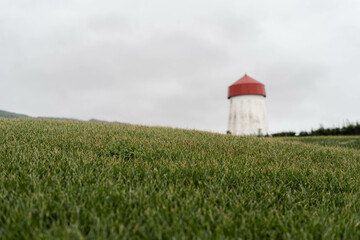 windmill in the field