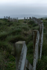 fence on the beach
