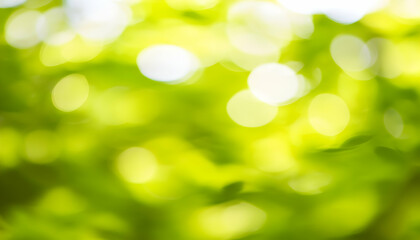 Obraz premium Abstract vibrant green bokeh background, perfect for nature-themed designs, spring or summer projects, and adding a fresh, lively feel.
