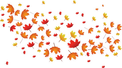 Maple Leaf- Canada Golden Background Transparent Vector. Leaves Decoration Illustration. Yellow Realistic Plant. Nature Leaf Design.