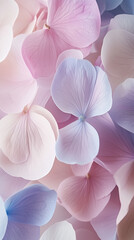 Close up of colorful pastel colored flowers