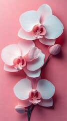 Flowers, Orchid, Paper Cut Art, Abstract Image, Texture, Pattern Background, Wallpaper, Cover and Screen of Smartphone, PC, Laptop, 9:16 and 16:9 Format