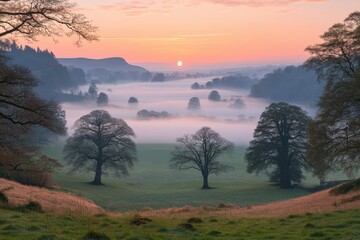 A breathtaking sunrise illuminates a misty valley, featuring timeless trees amidst a tranquil rural setting. Generative AI