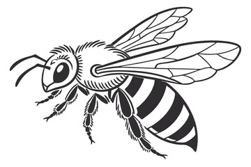 create a vector-style silhouette of the bee with a white background
