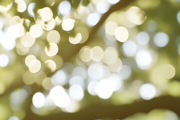Abstract bokeh background of sunlit leaves, perfect for website banners, presentations, or calming visuals.