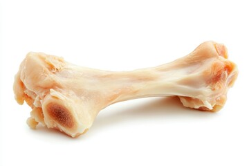 Bone is shown on a white background