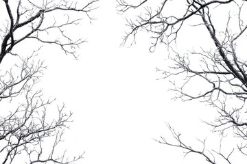 Winter Background Before Isolated and White Background