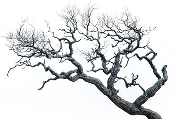 Twisted branches reach towards bright background, showcasing int