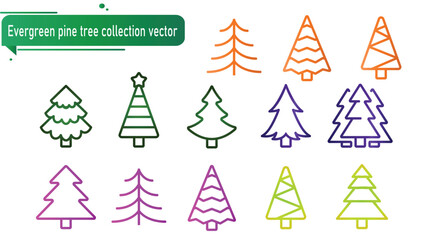 Evergreen pine tree collection vector