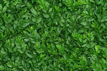 An indoor biophilic design featuring a mossy wall with floral textures, captured in a full-frame view.