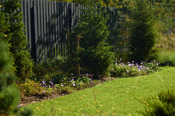 A beautifully lush green garden filled with a variety of colorful flowers and tall trees