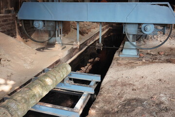 Coconut tree stem is going to saw machine for cutting