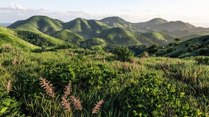 Lush green hills under a bright sky, showcasing natural beauty.