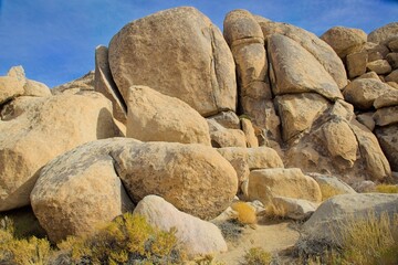 A sunny desert landscape featuring iconic Joshua trees, rocky boulders, dry vegetation, and a clear...