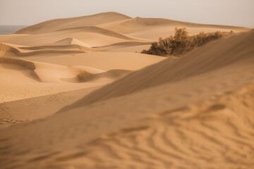 Golden Sand Dunes of Maspalomas