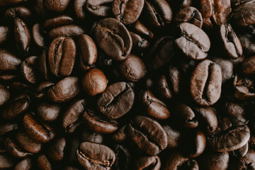 Close-Up of Coffee Beans in Detail