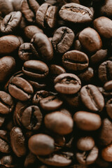 Close-Up of Coffee Beans in Detail