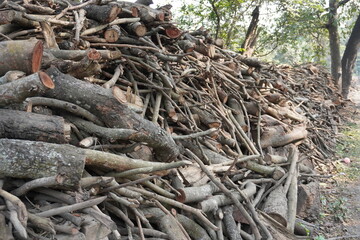 Firewood timber and logs are piled up on the ground behind the carpenter workshop