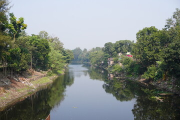 Obraz premium Big trees and weeds are grown up beside the wide canel