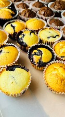 lots of muffins in paper cups, chocolate and with berries, gluten free, stand on a plastic tray. side view