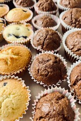 lots of muffins in paper cups, chocolate and with berries, gluten free, stand on a plastic tray. holiday food