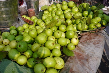 Fresh green guava has kept on the van for sell