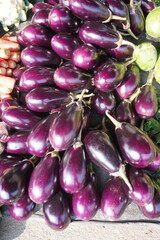 Brinjals are nicely organised in the village vegetable market