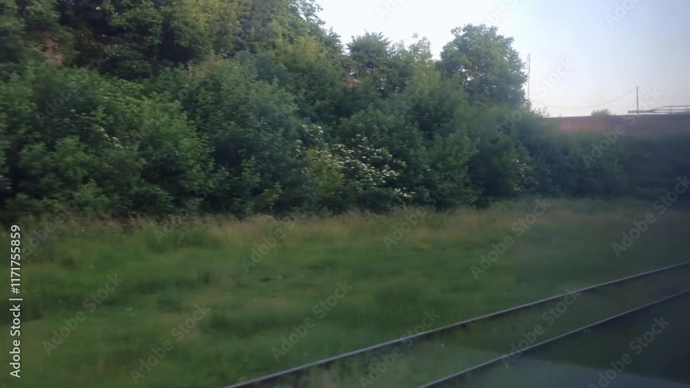 Poster train is passing through a grassy area with a bridge in the background. the train is on the tracks a