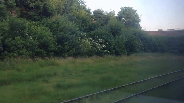 Train is passing through a grassy area with a bridge in the background. The train is on the tracks and the grass is green