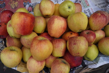 Fresh apples are displayed in the fruit shop