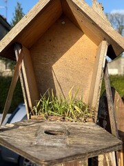 wooden house in the forest
