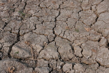 Soil getting cracked in the time of drought for lack of water