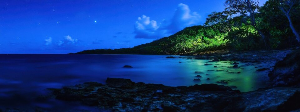 A mystical view of the bioluminescent phytoplankton in Mosquito Bay, Vieques, Puerto Rico