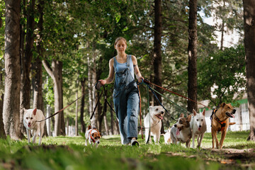 happy woman walks with her dogs in park, each dog on leash. Dogs of different sizes and breeds, they like to walk. walking pets. woman is wearing a jumpsuit. lady leads pack of dogs
